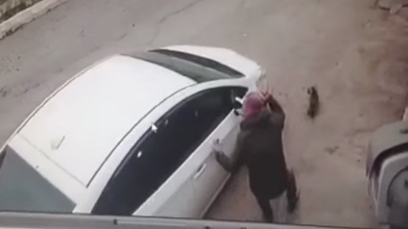 VIDEO INDIGNANTE: Una mujer atropella a un perro frente a su dueño 