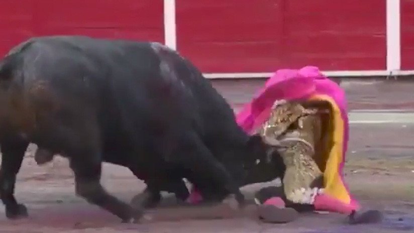FUERTE VIDEO: Un torero sufre una cornada en el cuello y vuelve al ruedo para acabar la faena