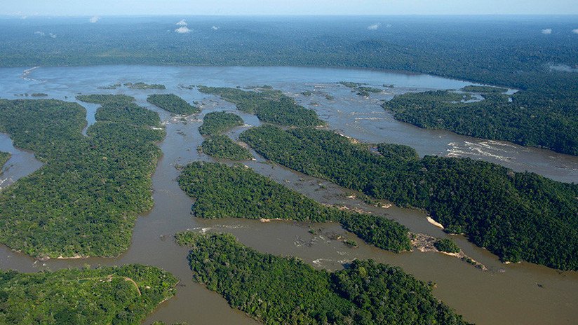 Encuentran en la jungla del Amazonas a una familia que huyó de unos piratas fluviales
