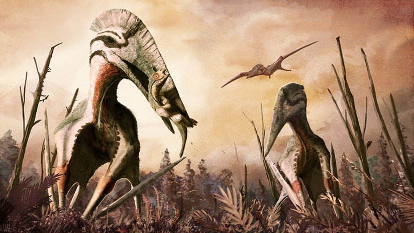 Descubren los restos de un predador volador gigante que se alimentaba de dinosaurios