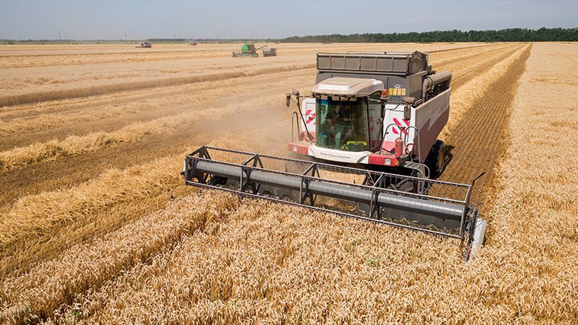 De las armas a la agricultura: Rusia se convierte en una superpotencia cerealística