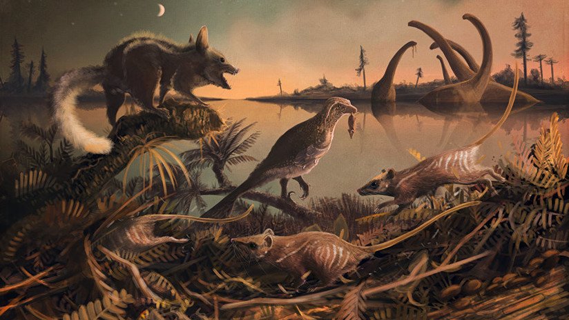 Descubren restos del mamífero prehistórico que podría ser el ancestro directo más antiguo del hombre