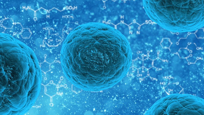 "Como un milagro": Científicos sorprendidos por un nuevo método para rejuvenecer las células humanas