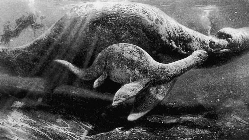 Los 'avistamientos' del monstruo del lago Ness rompen un récord este año 