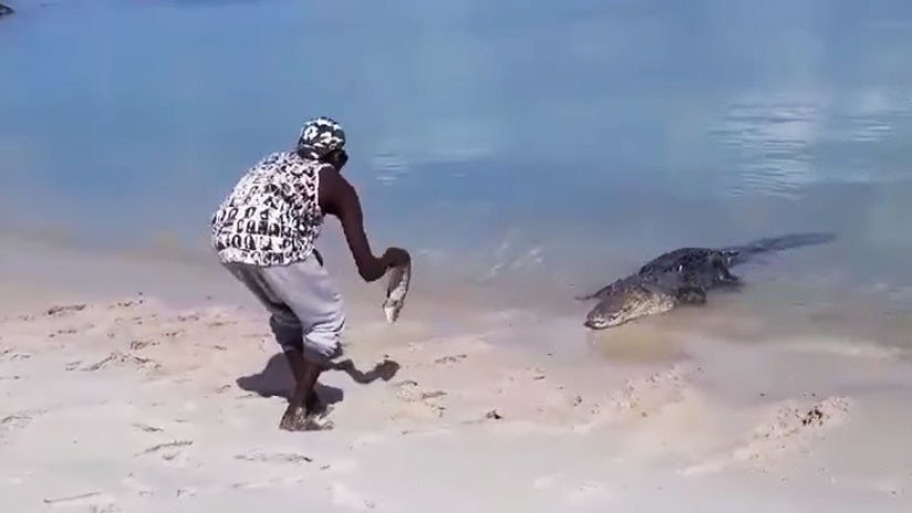 VIDEO: Un indígena australiano juega con su 'mascota', un enorme cocodrilo