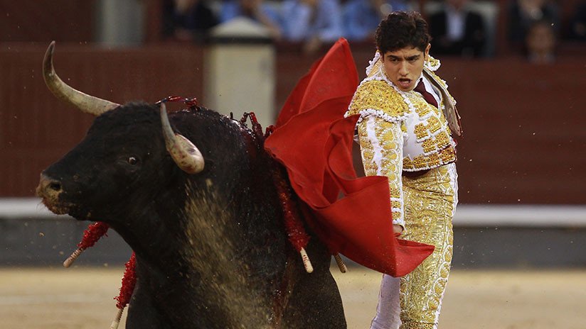 Esta vez ganó el toro: un joven torero mexicano recibe una cornada en el escroto (FUERTE VIDEO)
