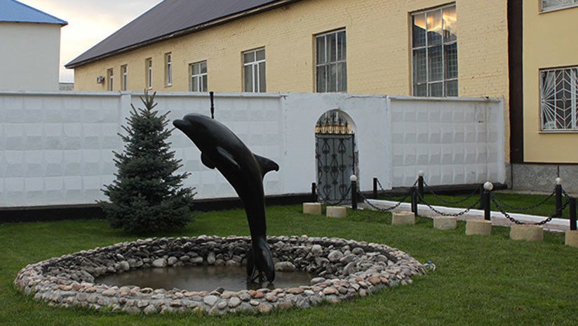 'El Delfín Negro': RT se adentra en la prisión más temida de Rusia de la que nadie ha escapado nunca