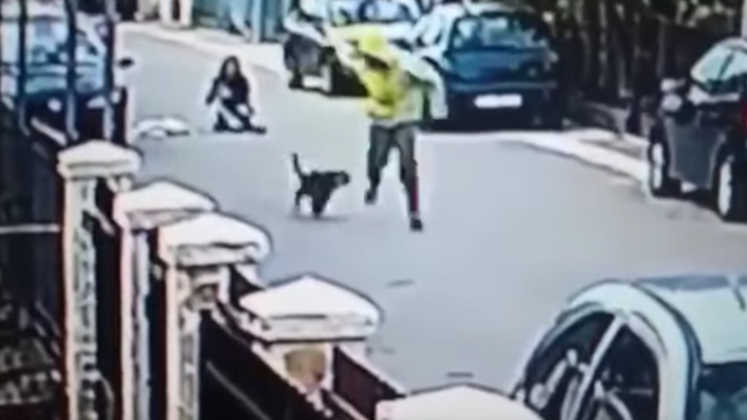 'La Patrulla Canina': Un perro salva a una mujer de un robo mordiendo al ladrón en los glúteos