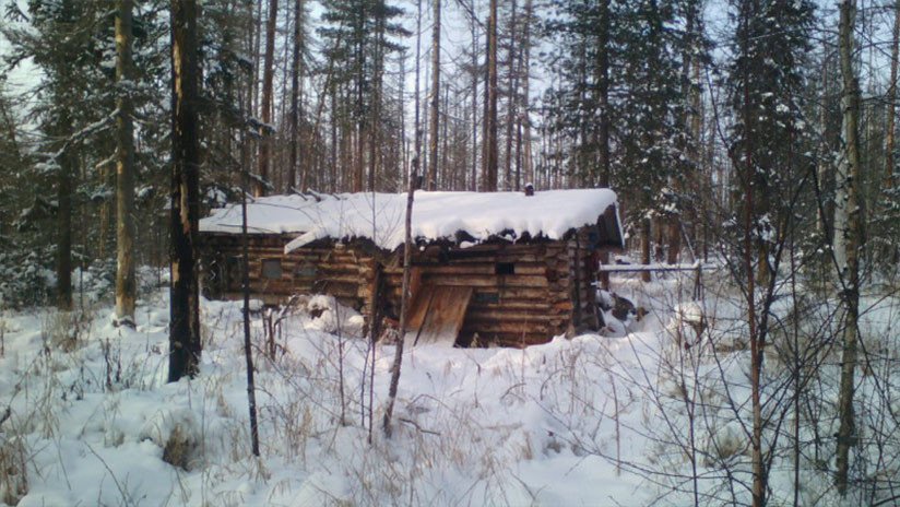 Bienvenidos a Siberia: Un oso roba dos escopetas a un cazador y se fuga en la taiga rusa (FOTO)