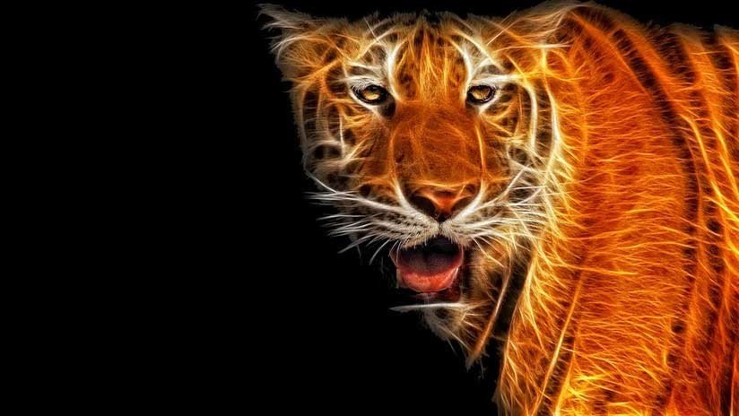 Pánico y heridos: Un tigre circense escapa y ataca al público (VIDEO)