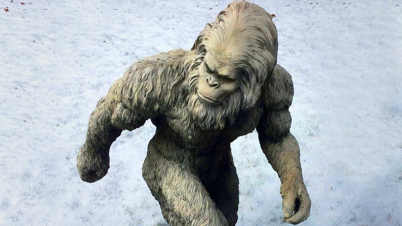 ¿Adiós al yeti? Científicos afirman haber resuelto el misterio del abominable hombre de las nieves