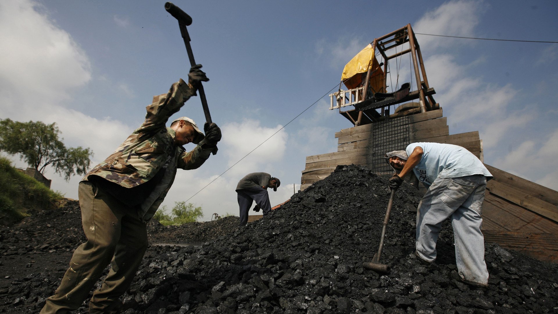 América Latina es la segunda productora mundial de carbón vegetal