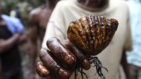 Anmistía Internacional pide investigar a Shell por complicidad con los crímenes de los 90 en Nigeria
