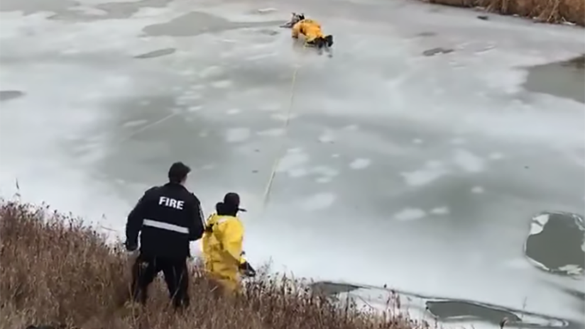 VIDEO: El conmovedor rescate de un perro que quedó atrapado en el hielo en Canadá
