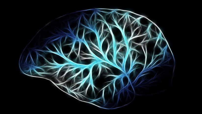 Explican cómo envejece nuestro cerebro (y por qué perdemos la memoria)