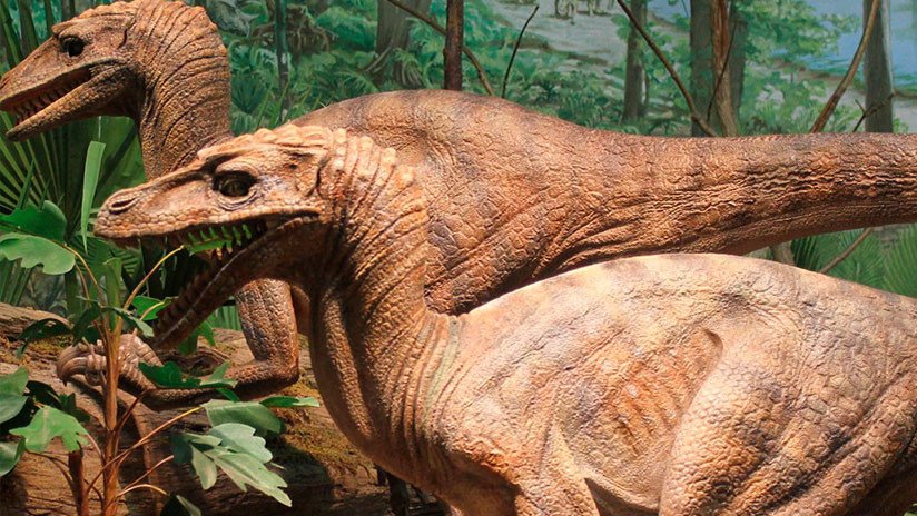 FOTO: Una extraña criatura similar a un dinosaurio deja perplejos a los científicos
