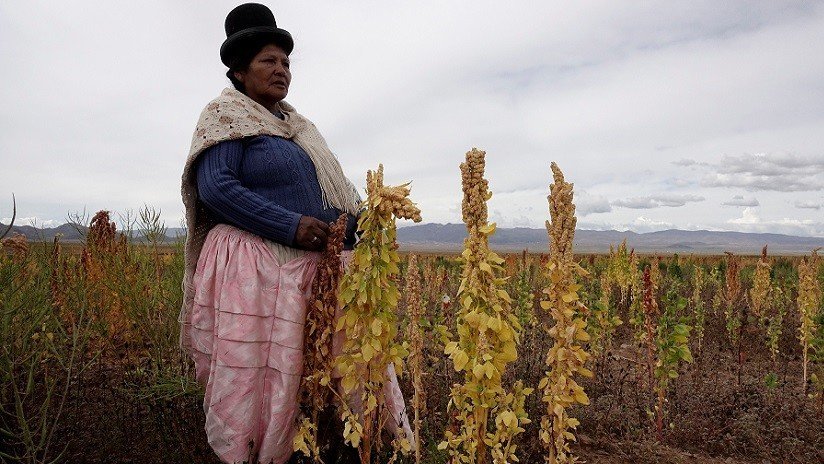 Este país es el mayor productor del 'súper alimento' latinoamericano crucial para combatir el hambre