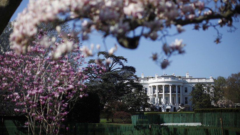 Melania Trump decide talar el árbol más viejo de la Casa Blanca