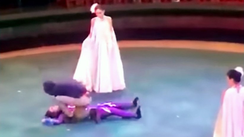 VIDEO IMPACTANTE: Una gimnasta cae desde gran altura en pleno espectáculo de circo