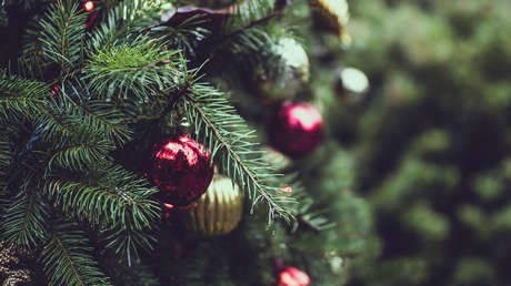 Árboles de Navidad con regalo: ¿Por qué México devuelve a EE.UU. más de 13.000 abetos?