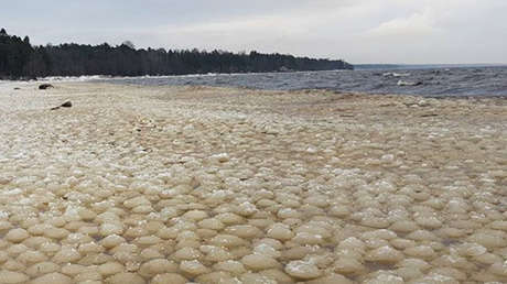 Extraña 'invasión' de esferas de hielo sorprende a los habitantes de San Petersburgo (FOTOS, VIDEO)