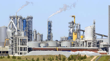 Uruguay construye otra planta de celulosa y aumenta la tensión con Argentina