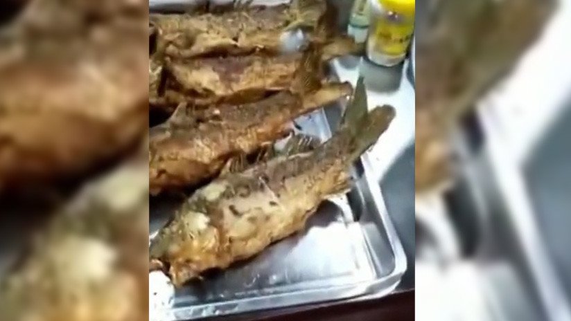 VIDEO: Pescado frito todavía se mueve en el plato