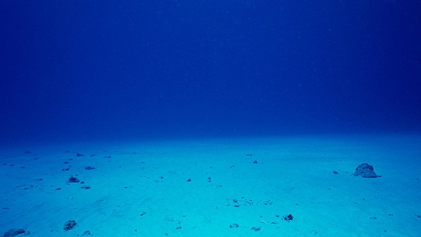 Alarma científica: Esta es la razón por la que se está hundiendo el fondo del mar