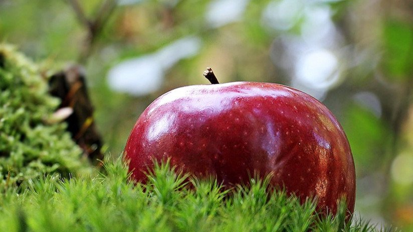 La fruta prohibida del Edén no era la manzana: lo tradujeron mal