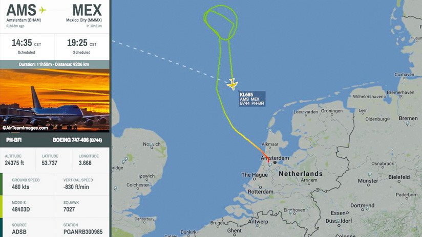 Aterriza en Ámsterdam sin dificultades un avión que había golpeado con un pájaro en el despegue