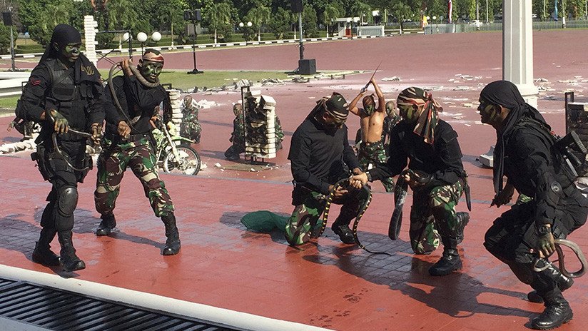  VIDEO: Fuerzas especiales indonesias enseñan al jefe del Pentágono cómo manipular serpientes 
