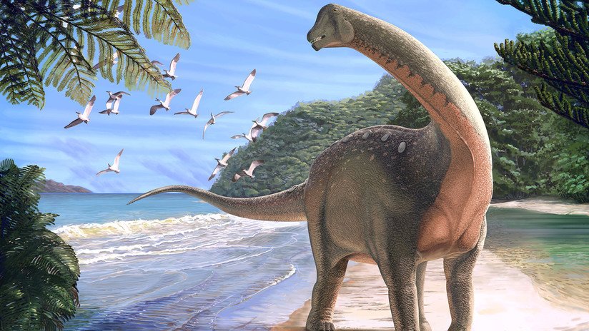 Encuentran en Egipto el fósil de un dinosaurio del tamaño de un autobús (FOTOS)