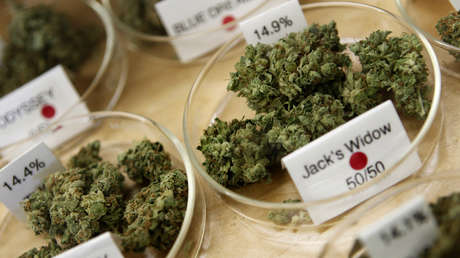 Un estado de EE.UU. podría convertirse en el paraíso de los mexicanos para consumir marihuana