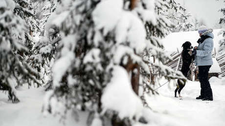 Dos niños sobreviven en un bosque congelado de Rusia con la ayuda de sus perros