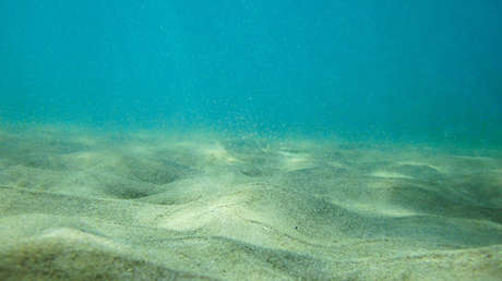 Descubren pruebas de vida submarina en zonas consideradas inhabitables