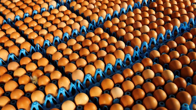 La selección de Noruega recibe por error 15.000 huevos en los JJ.OO. de Pyeongchang