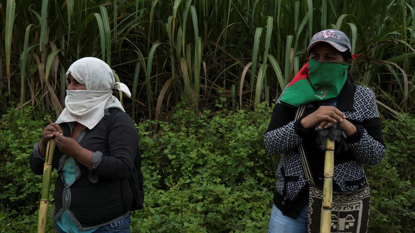 Colombia: Un informe asegura que 23 líderes sociales fueron asesinados solo en 2018