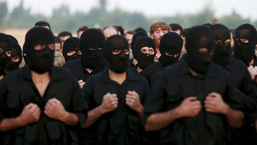 La yihad global: ¿Es posible una fusión entre el Estado Islámico y Al Qaeda?