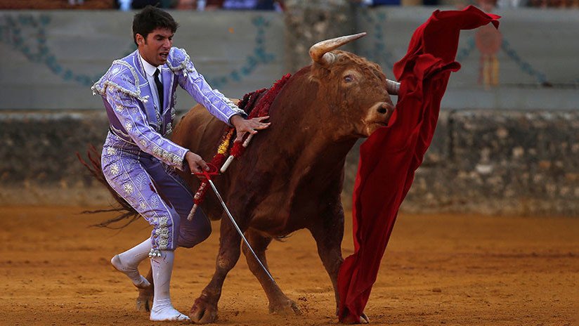 La ONU recomienda a España que no permita que los menores vean corridas de toros