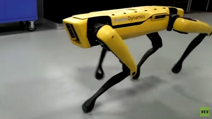 Demasiado inteligentes: Un perro robot ha 'aprendido' a escapar de una habitación (VIDEO)