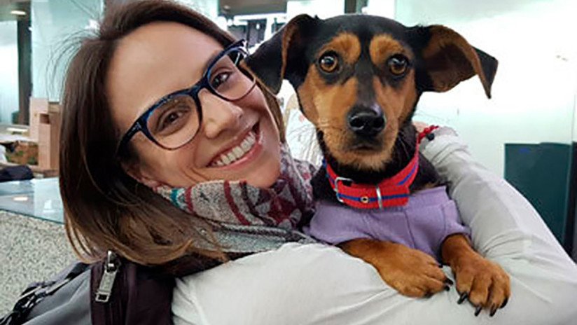 Una patinadora canadiense salva a perros criados para ser comida en Corea del Sur