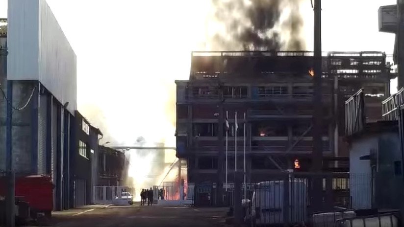 VIDEO: Al menos 2 muertos en una gran explosión en fábrica de semillas oleaginosas en Francia