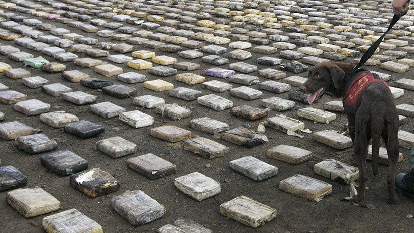 Venezuela: la operación Relámpago permite destruir más de 3.000 kilos de cocaína