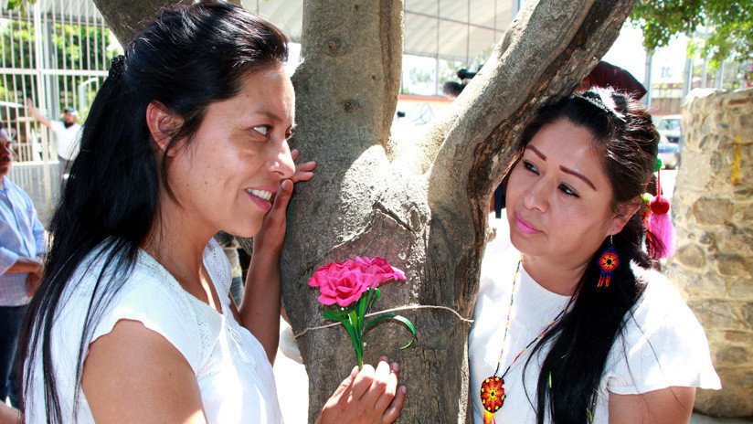 México: 30 parejas se "casan" con árboles en Oaxaca