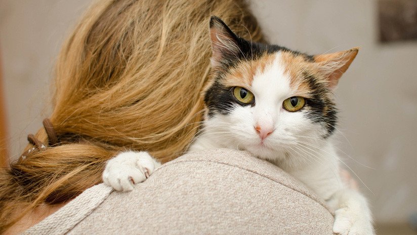 VIDEO: Una modelo se tatúa a su gato con tinta obtenida del pelo de su mascota