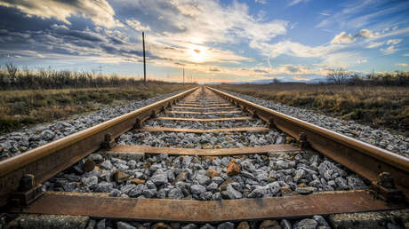España: Al menos 20 perros mueren arrollados por trenes tras ser atados a las vías
