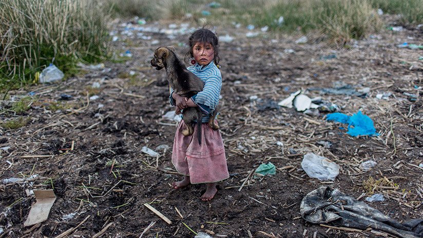 "Pañales, bolsas y hasta perros muertos": Mujeres se unen para limpiar el lago Titicaca