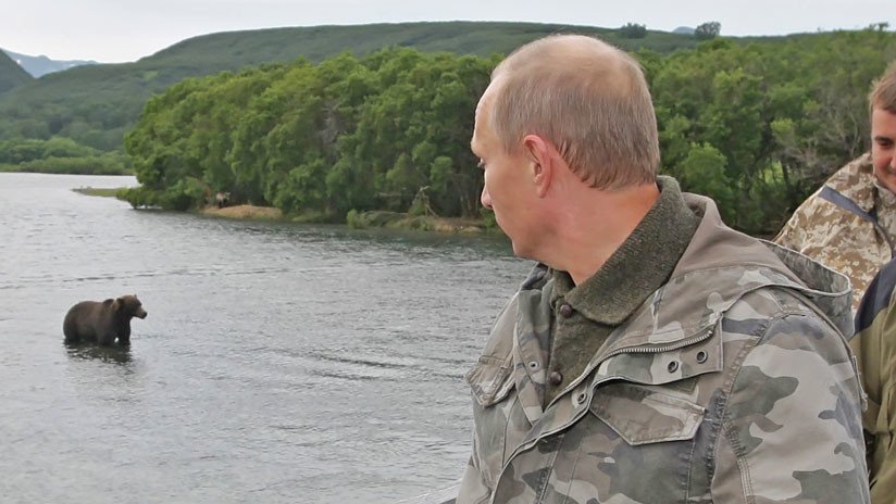 Publican el video del encuentro de Vladímir Putin con un oso 
