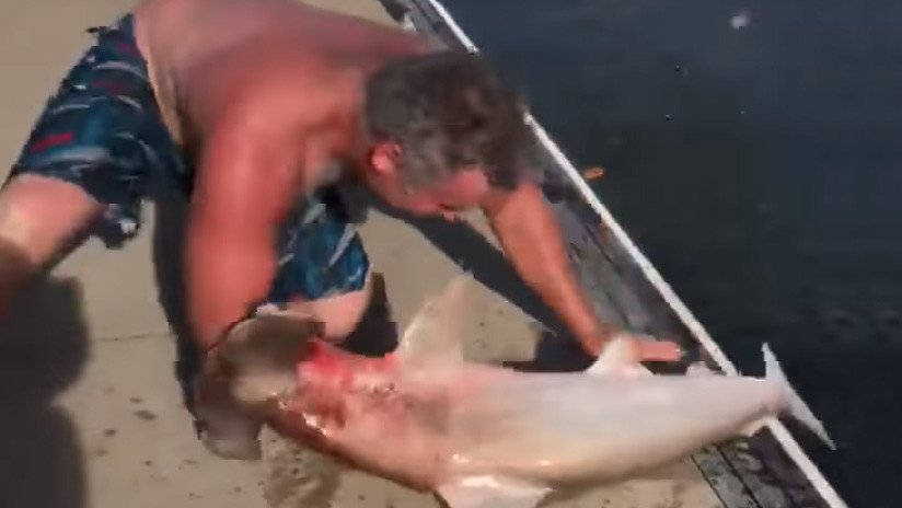 FUERTE VIDEO: Un tiburón devora el brazo de un hombre, ¿pero quién es la víctima?