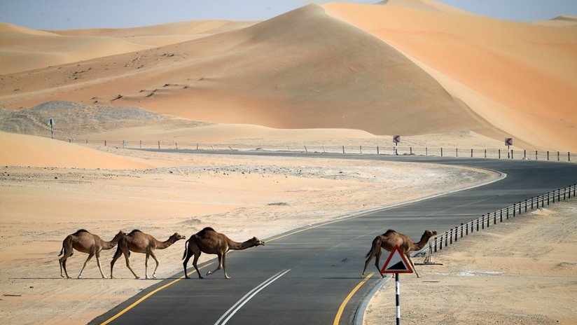 FOTOS: El gobernante de Dubái salva a turistas extranjeros atrapados en el desierto